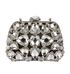 Christian Dior Mini Crossbody Clutch, front view